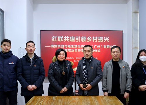 红联共建引领村落振兴，党建促业务深度融合