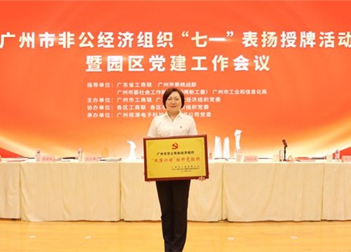 标杆引领，荣誉升级！集团党支部荣膺广州市非公有造经济组织“双强六好”标